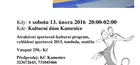 10. nekuřácký sportovní ples