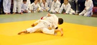 Judo Cup Kamenice