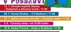 Ochotnický divadelní festival
