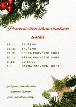 Green Watercolor Christmas Sale Poster (1)